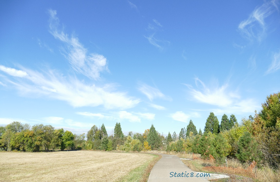 Cirrus clouds over the bike path