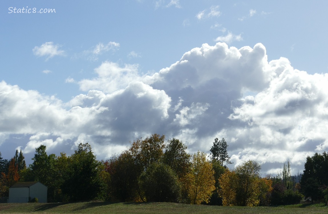 Puffy white clouds and a blue sky