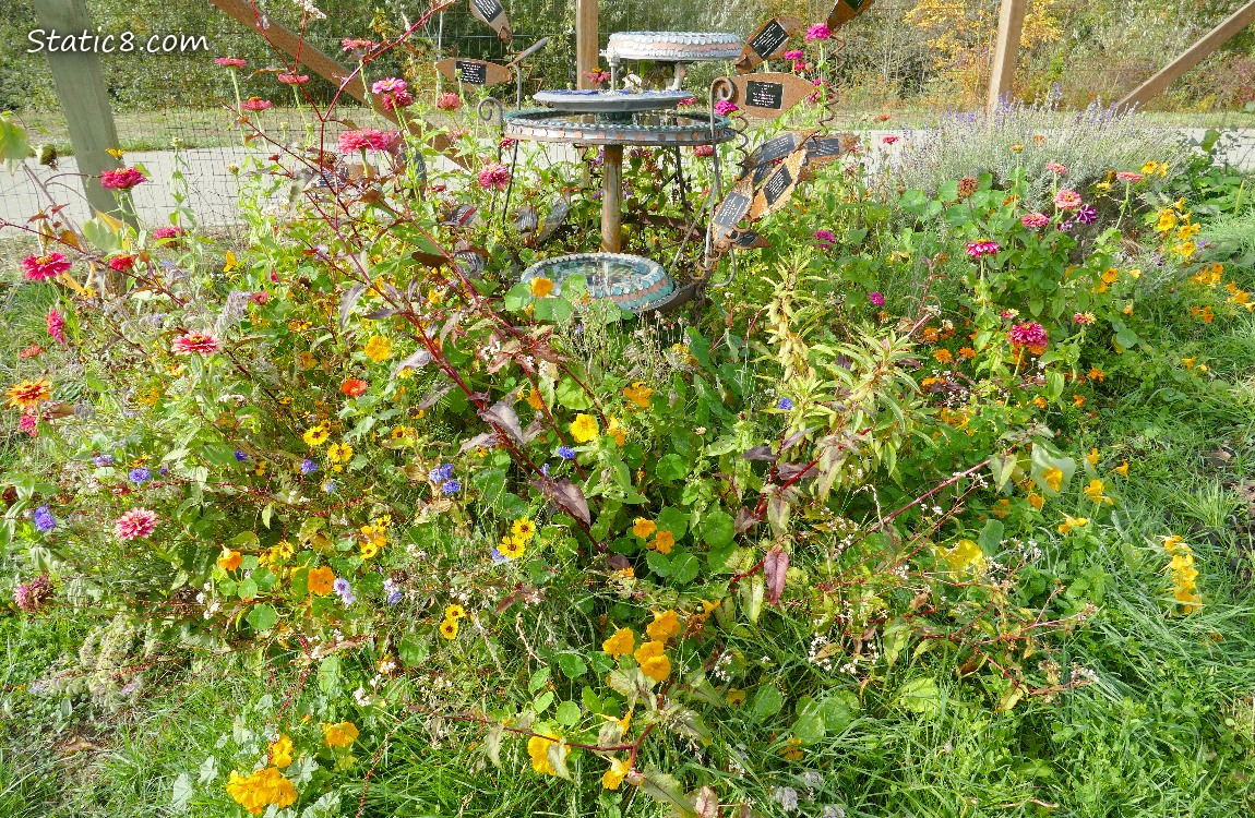 Flowers around an artsy bird bath