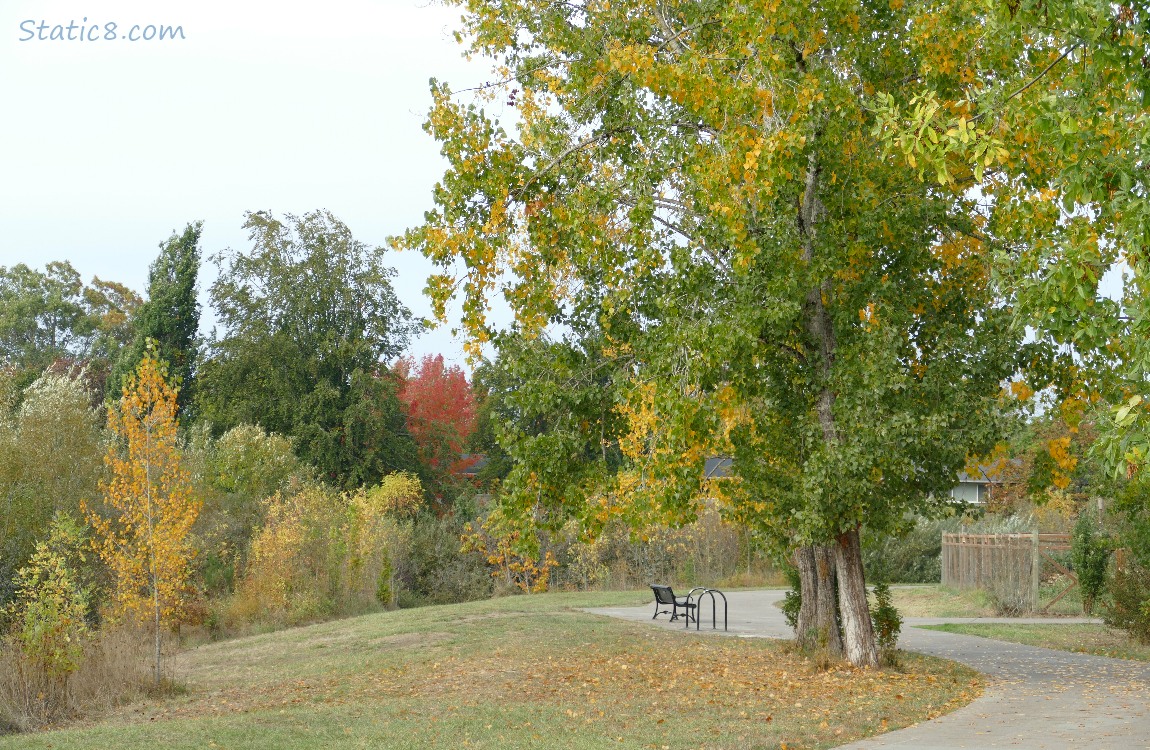 Bench along the bike path