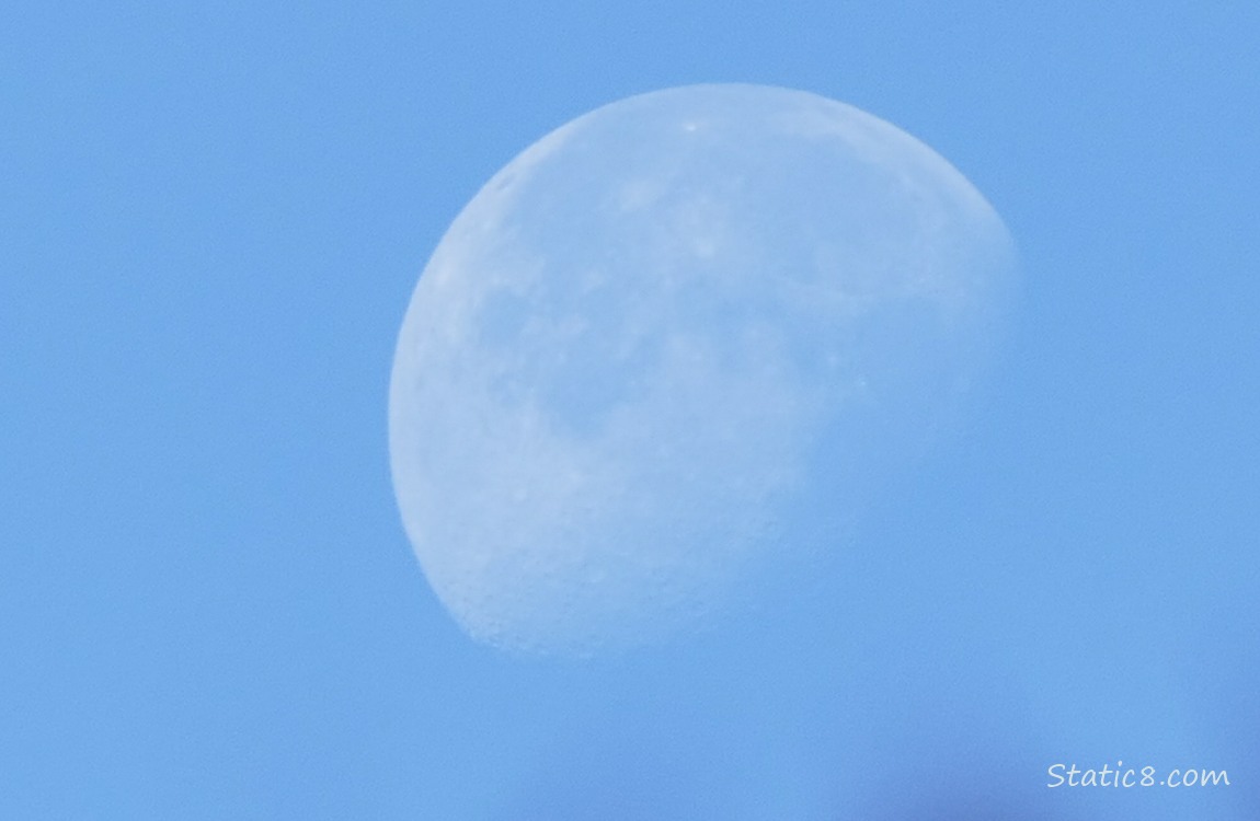 Moon in the blue sky