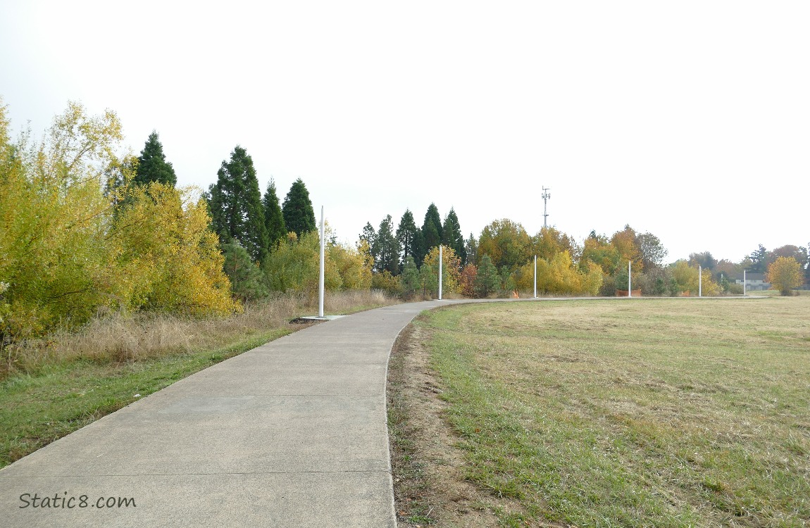 Bike Path