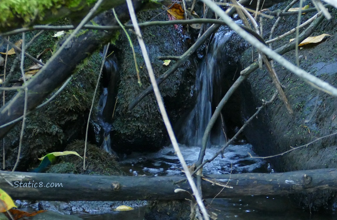 waterfall behind fallen sticks and branches