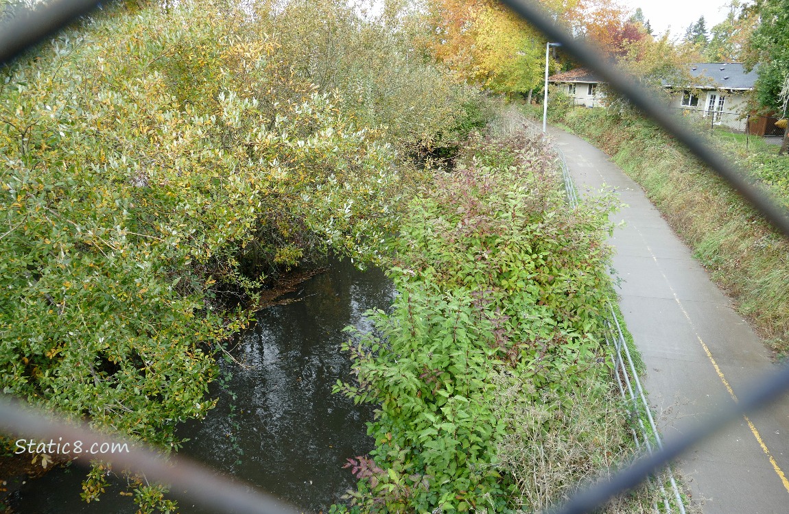 Looking down at the creek and bike path from a bridge