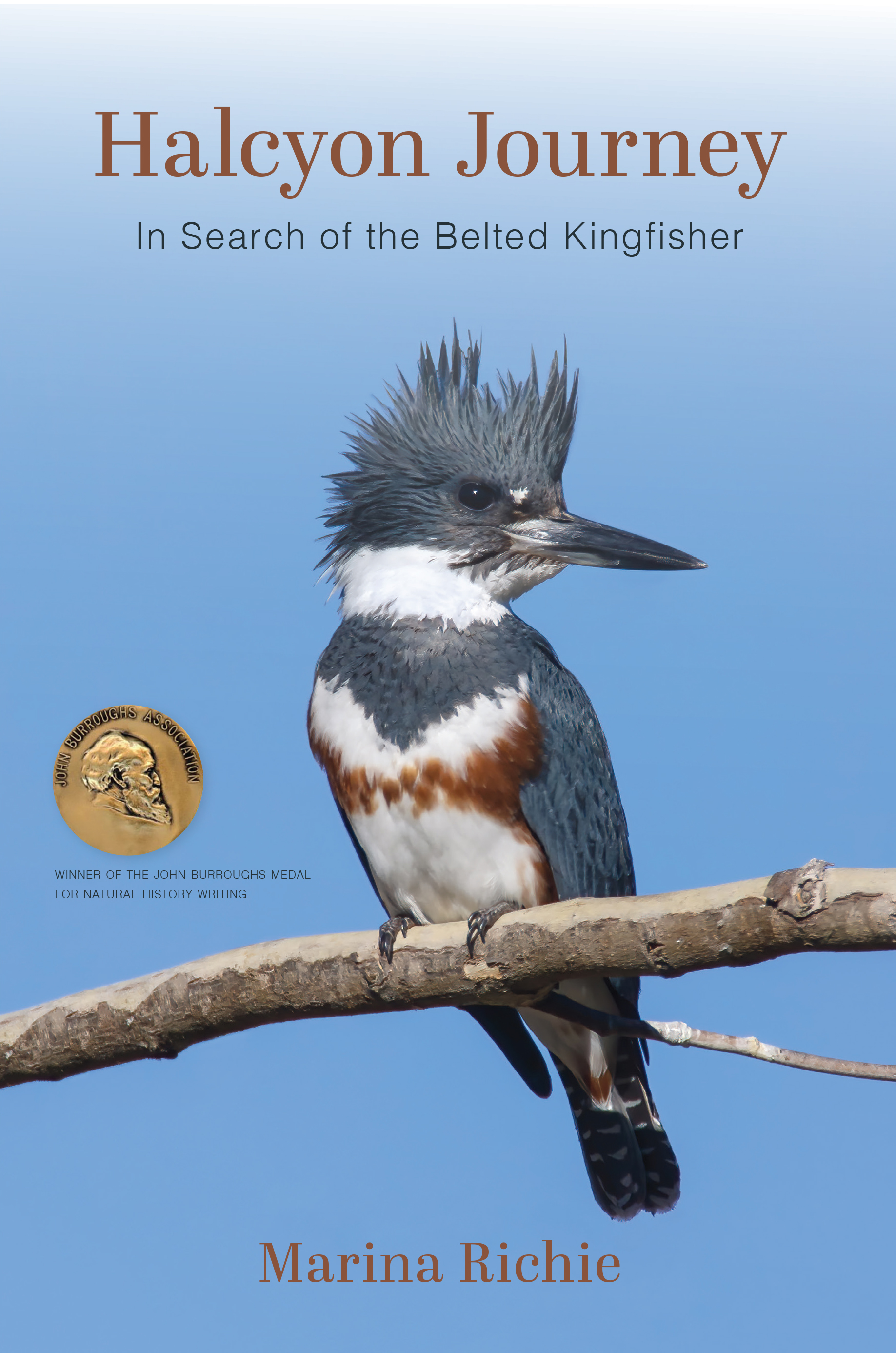 Book Cover: Halcyon Journey by Marina Richie