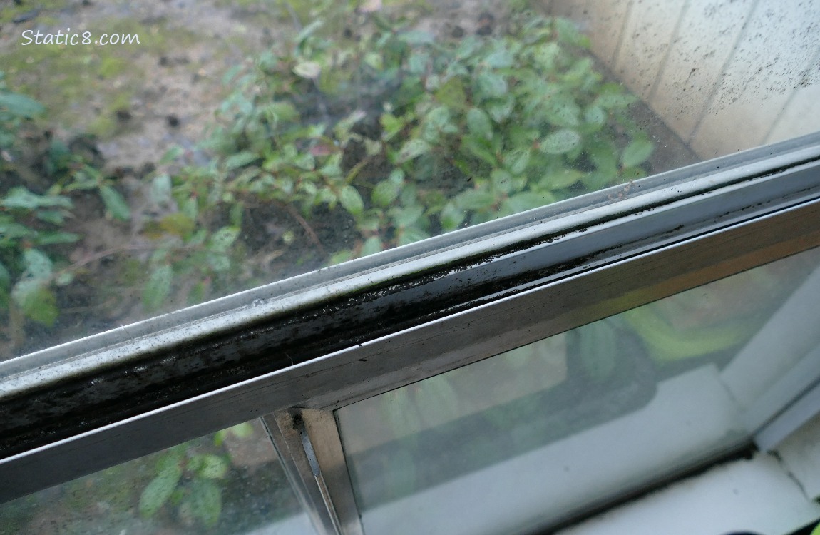 Dirty window frame