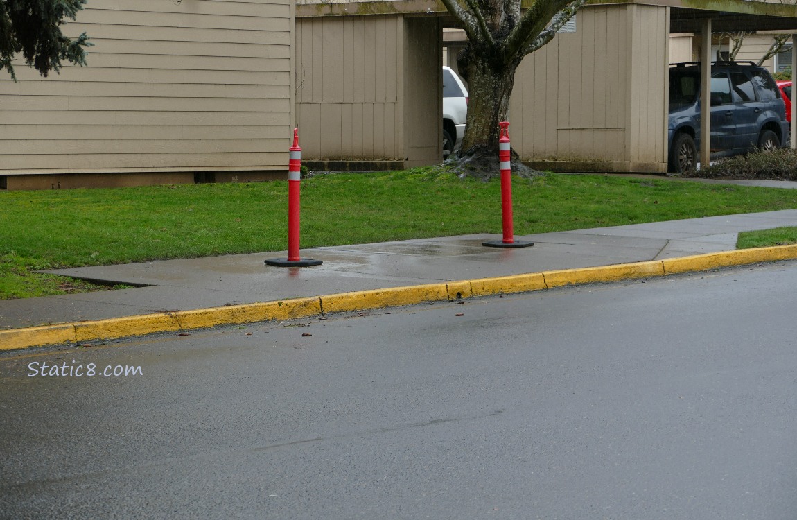 cones on the sidewalk