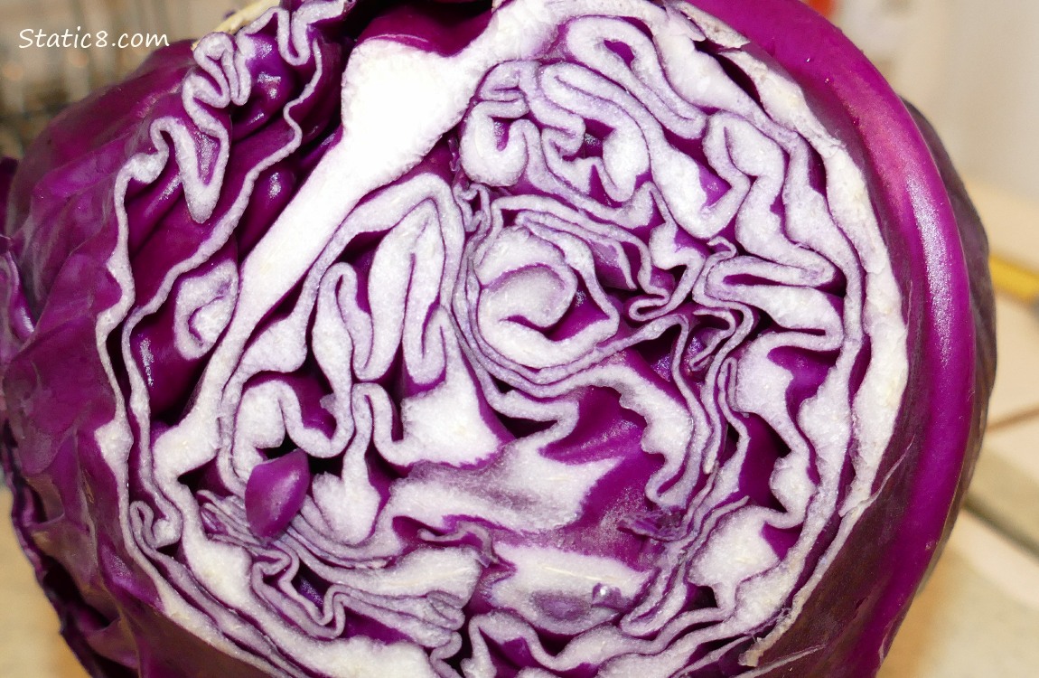 Sliced head of red cabbage