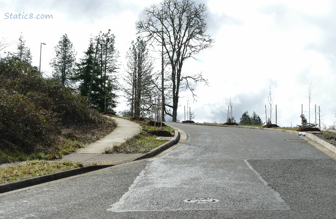 Road