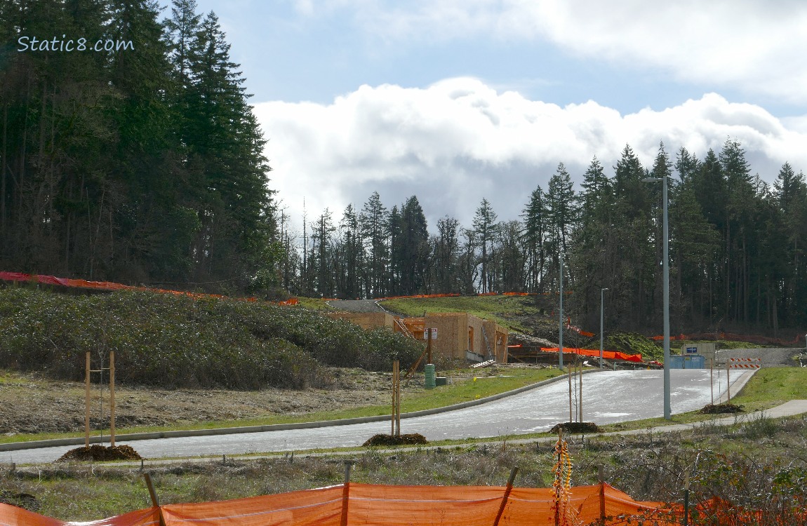 Road going past orange safety fencing