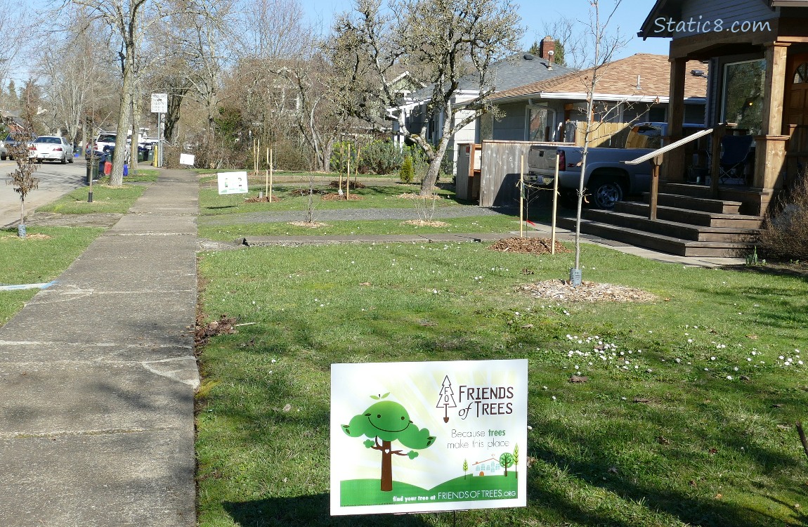 Neighborhood yards