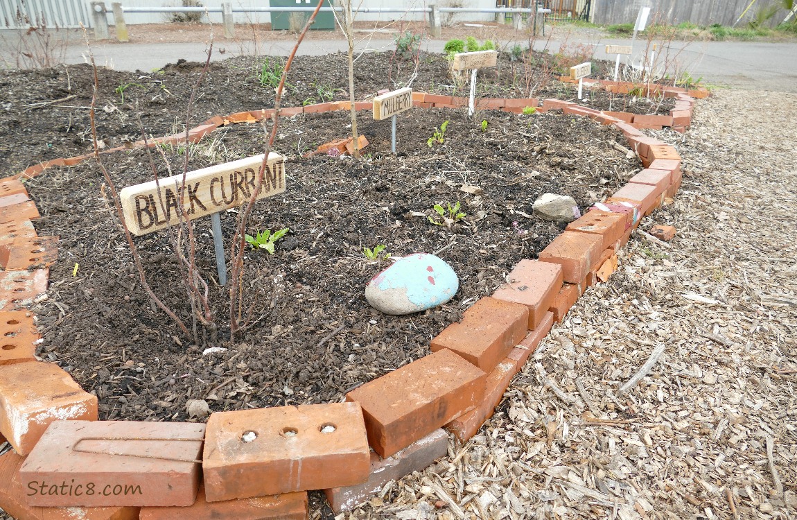 Garden bed with signs