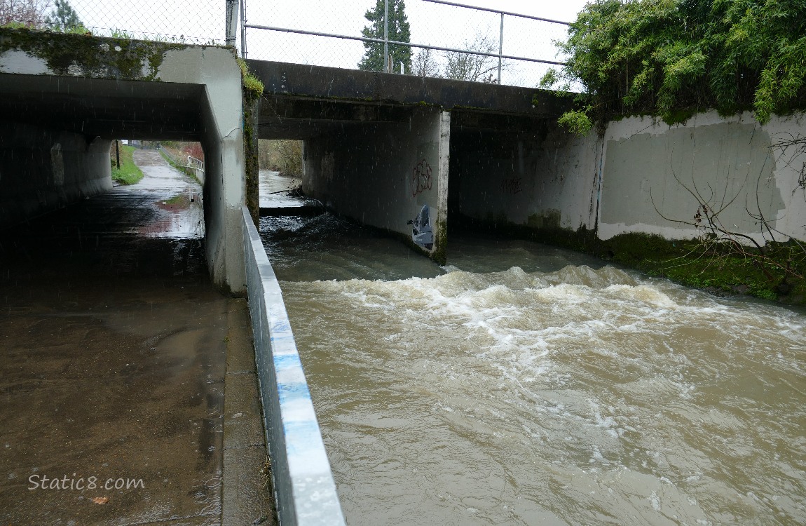 Creek  next to the bike path, going under a car bridge
