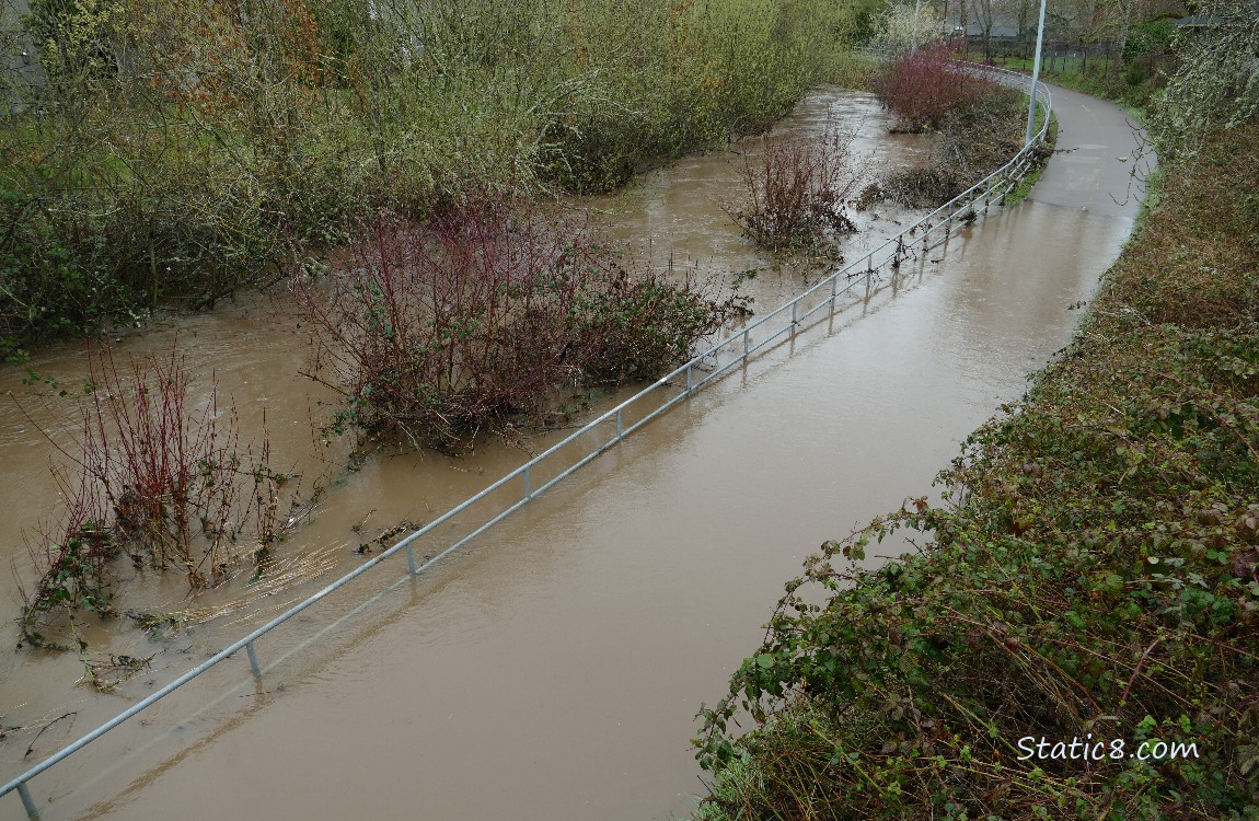 Looking down at the bike path flooded from the creek
