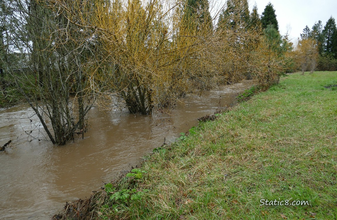 full creek