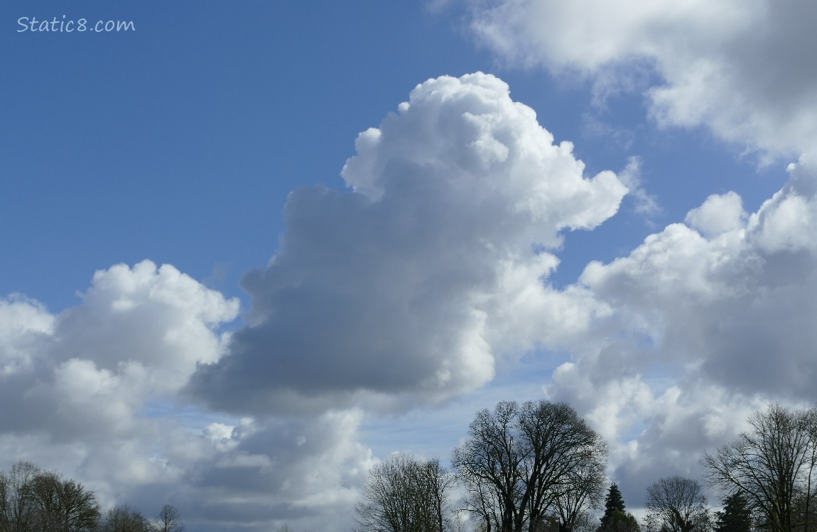 White puffy clouds in a blue sky