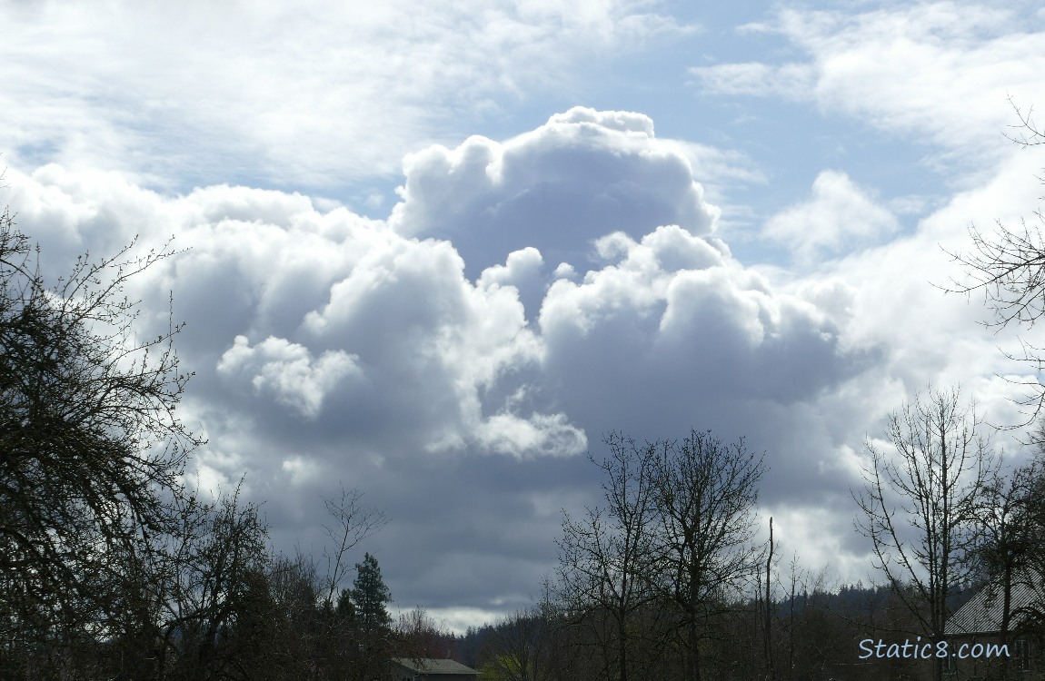 Clouds over silhouettes of trees