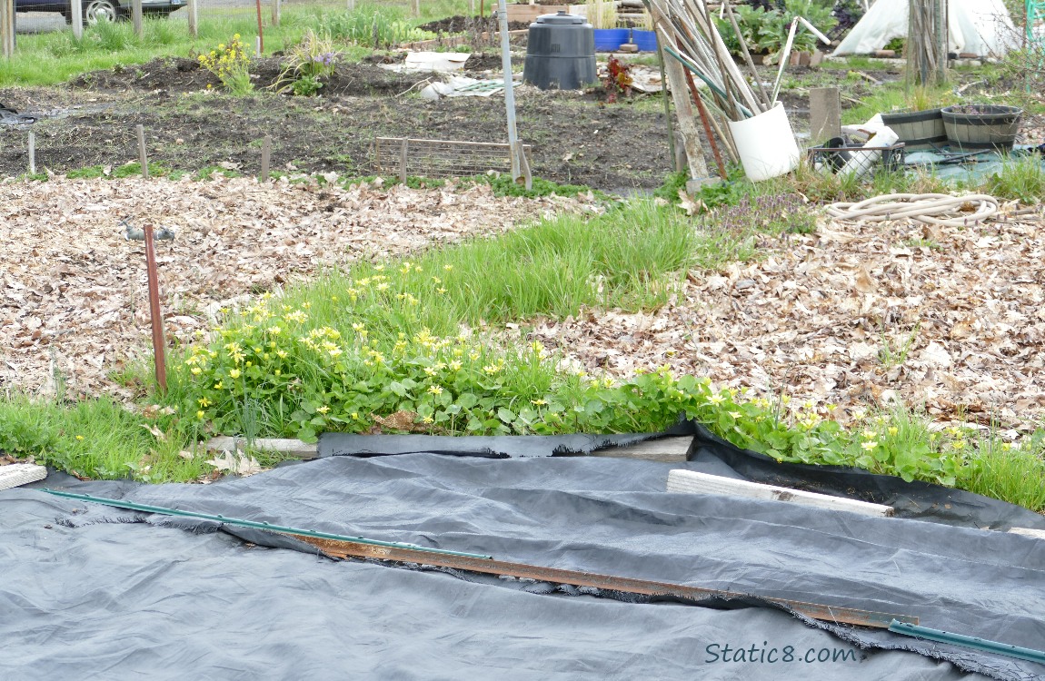 Garden plots