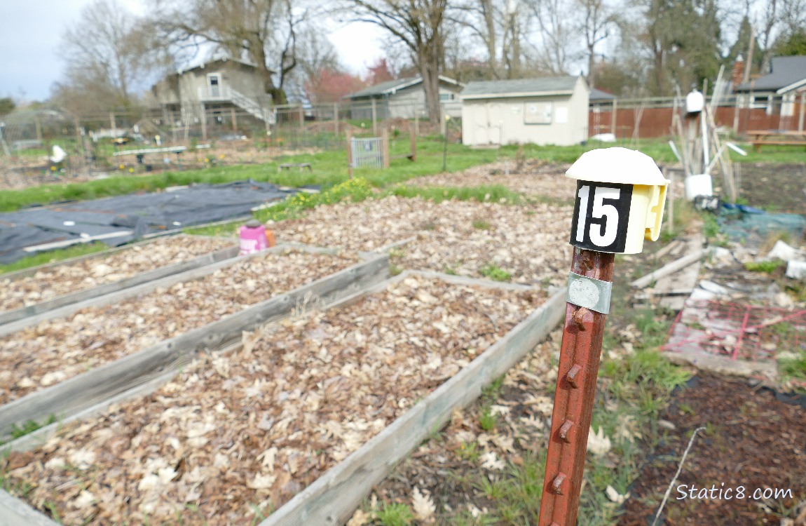 Garden plots