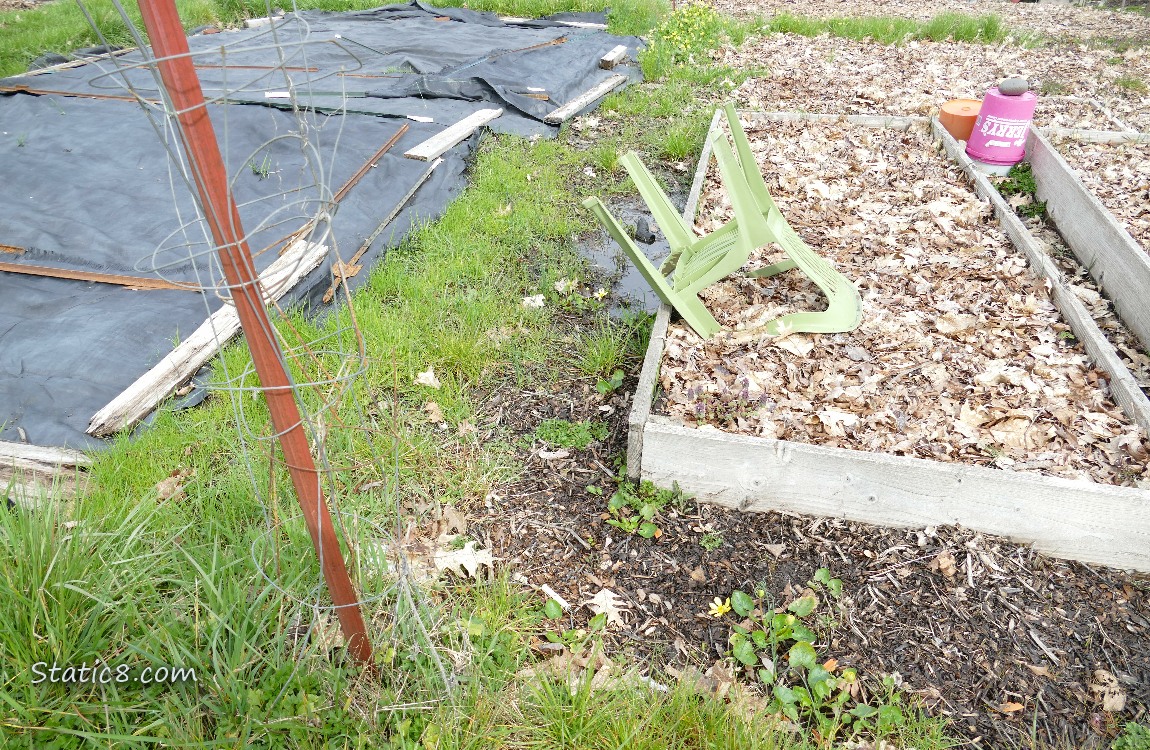 Grassy area in front of a garden plot