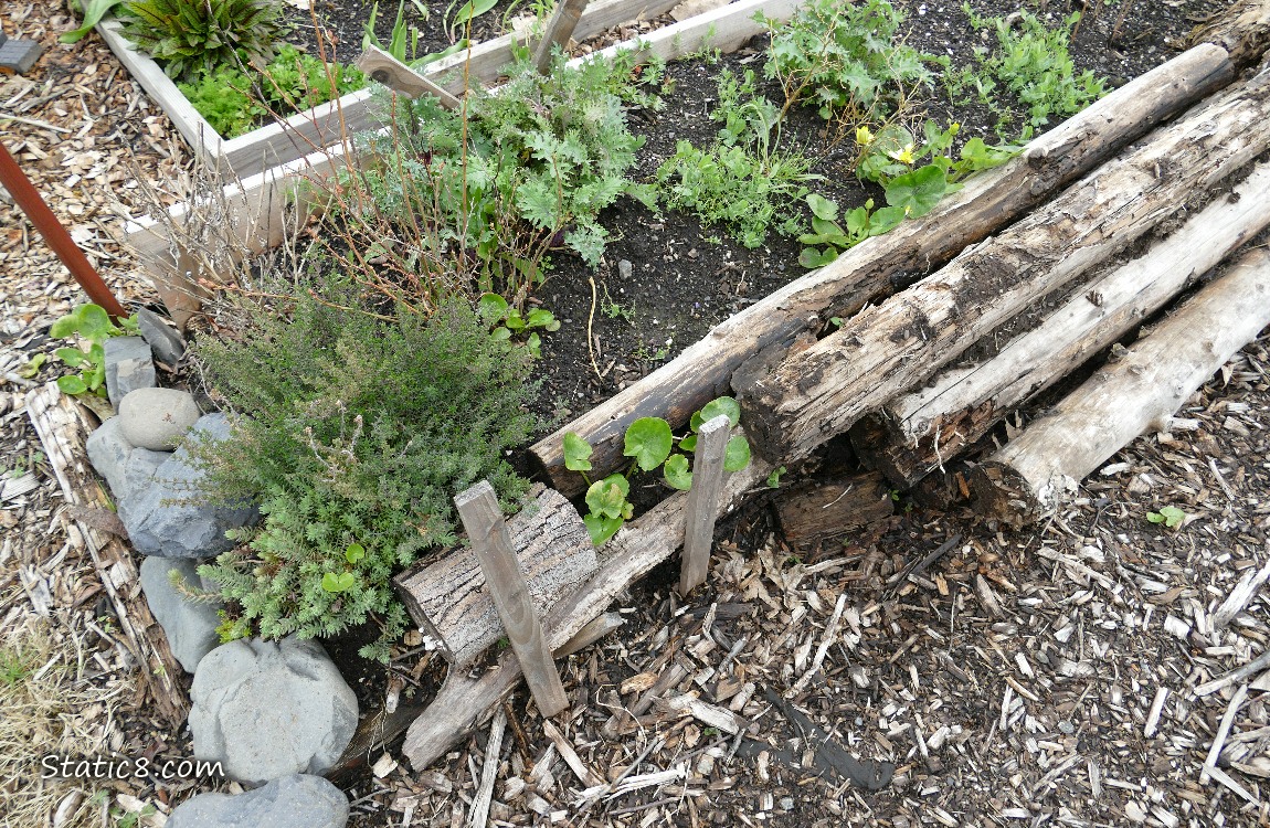 Garden bed