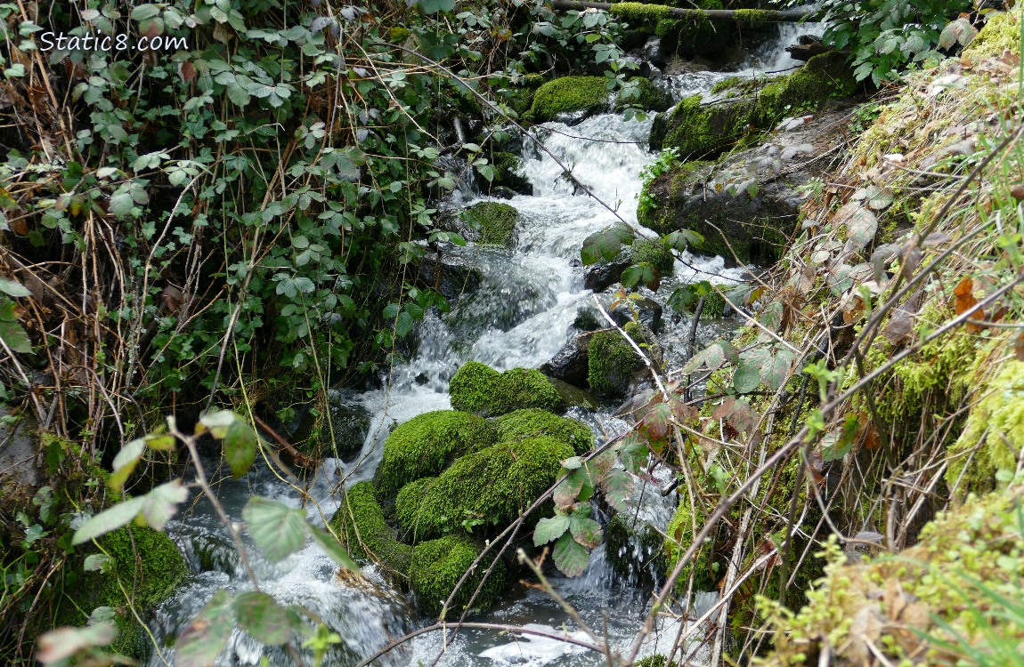 Small waterfall going past mossy rocks