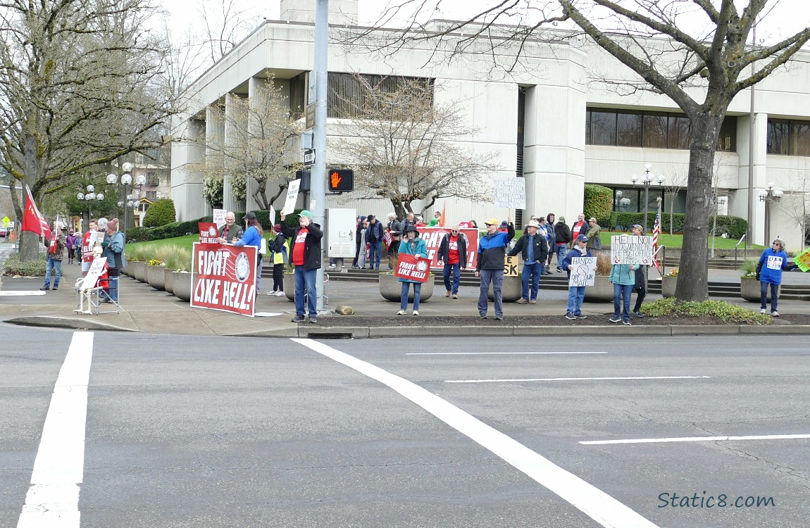 Protesters at a street corner
