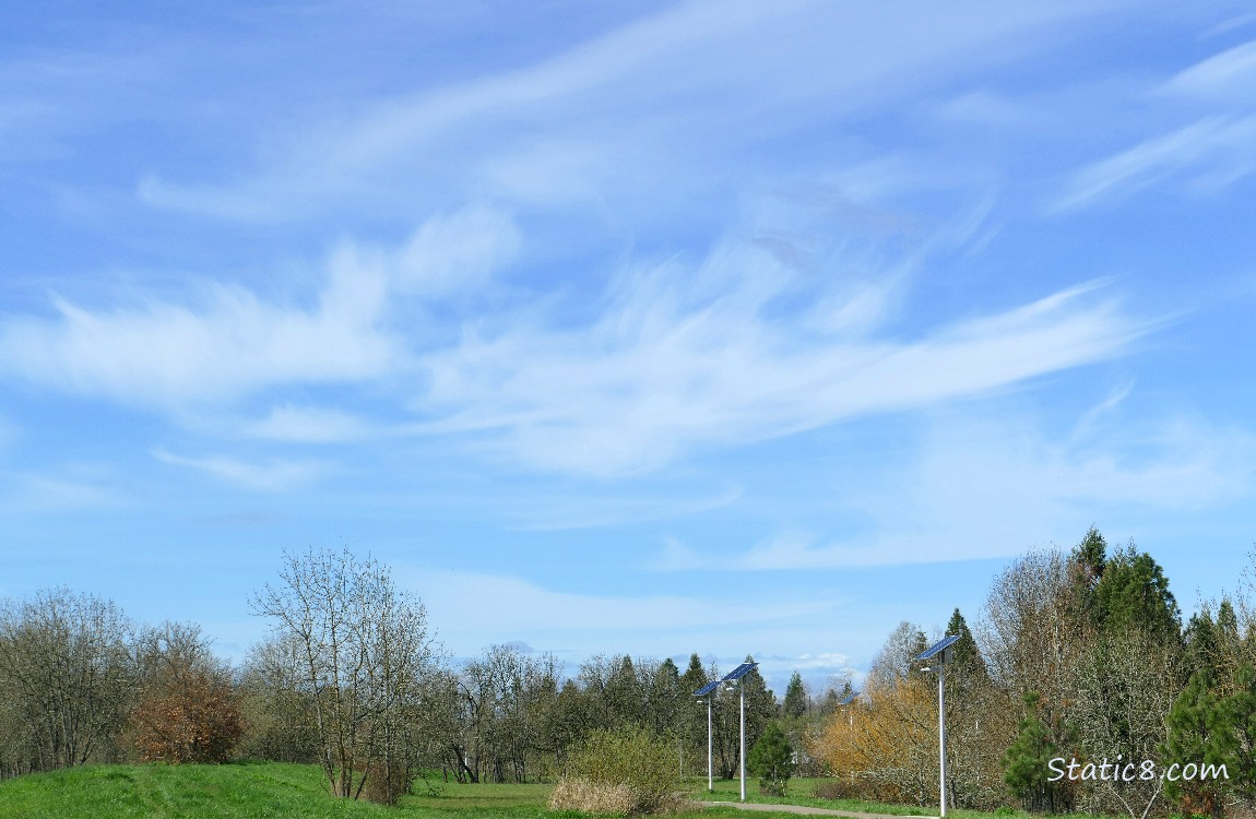 Blue sky over the bike path