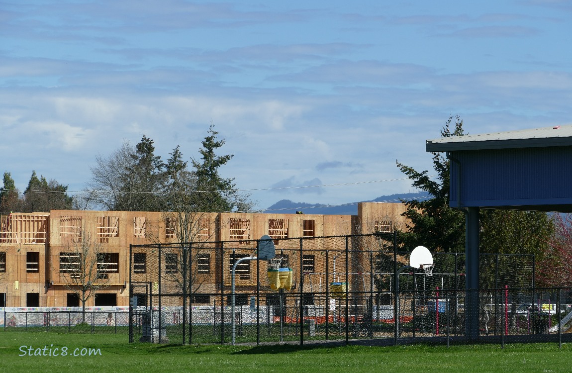 Building construction past green lawn
