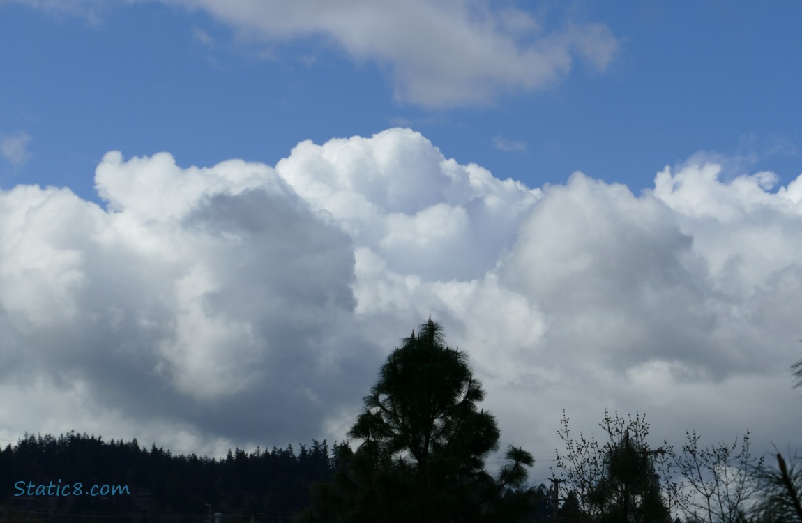 White puffy clouds