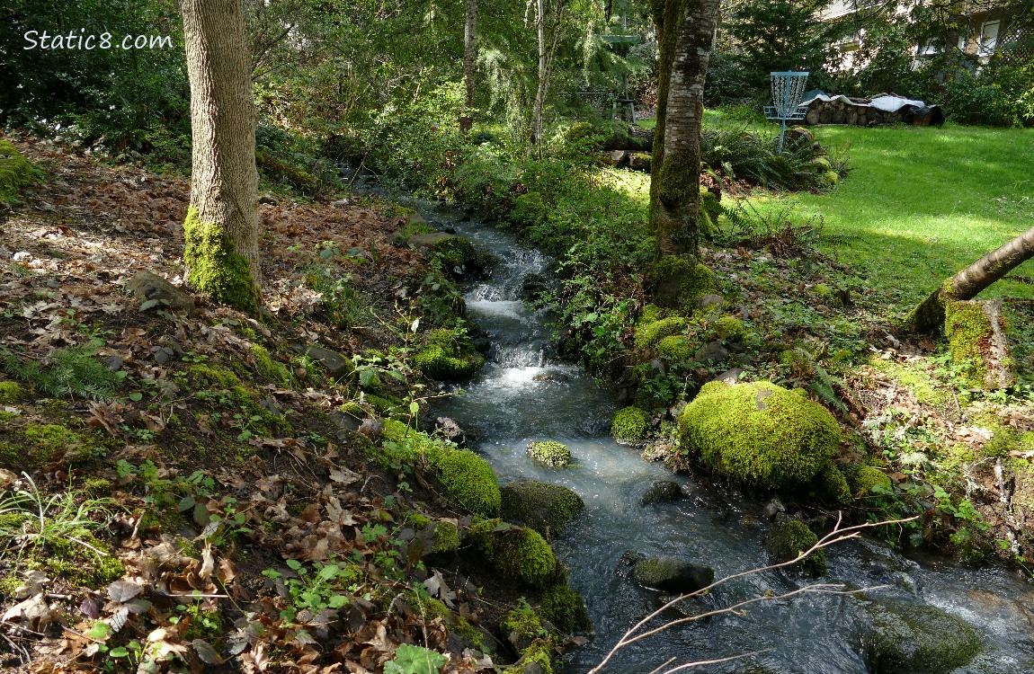 Waterfall with forest on the left and a yard on the right