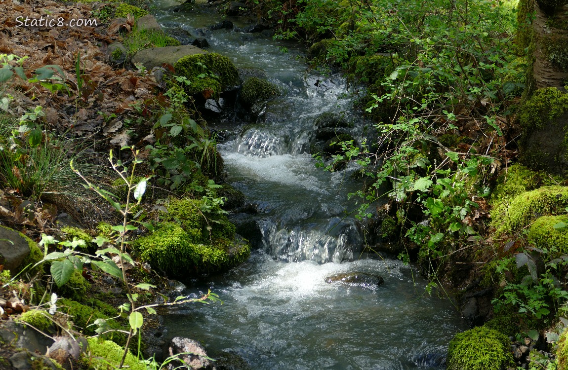 Small waterfall in the forest