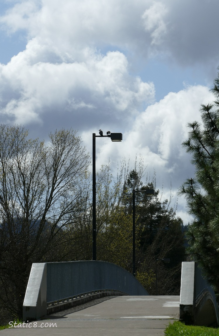 Puffy clouds over a walking bridge