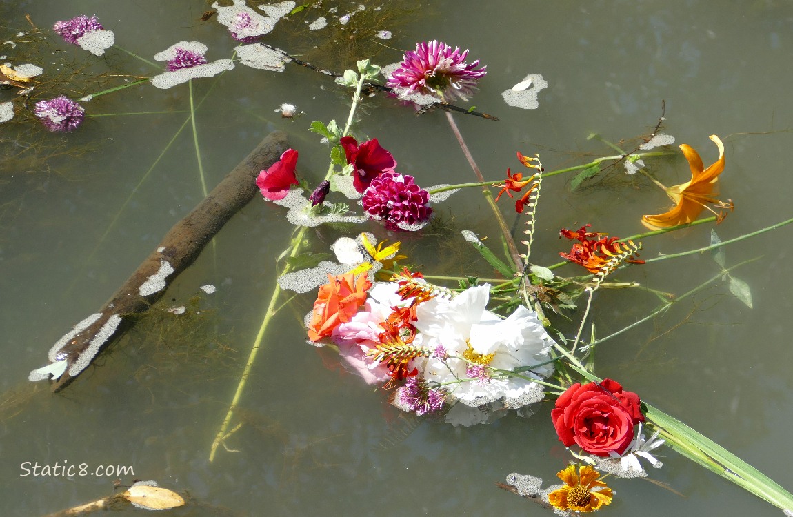 Flower bouquet floating in the water