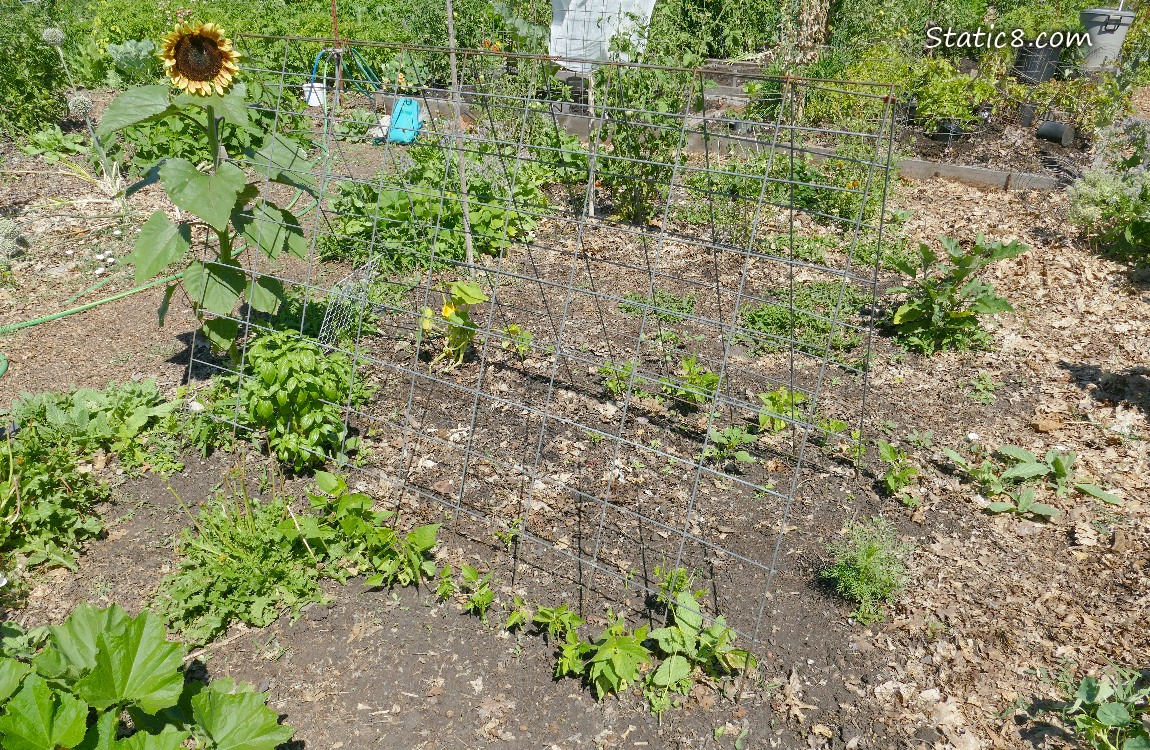 Garden plot
