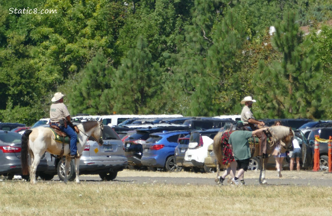 Two Horses and riders, standing in front of cars in a field