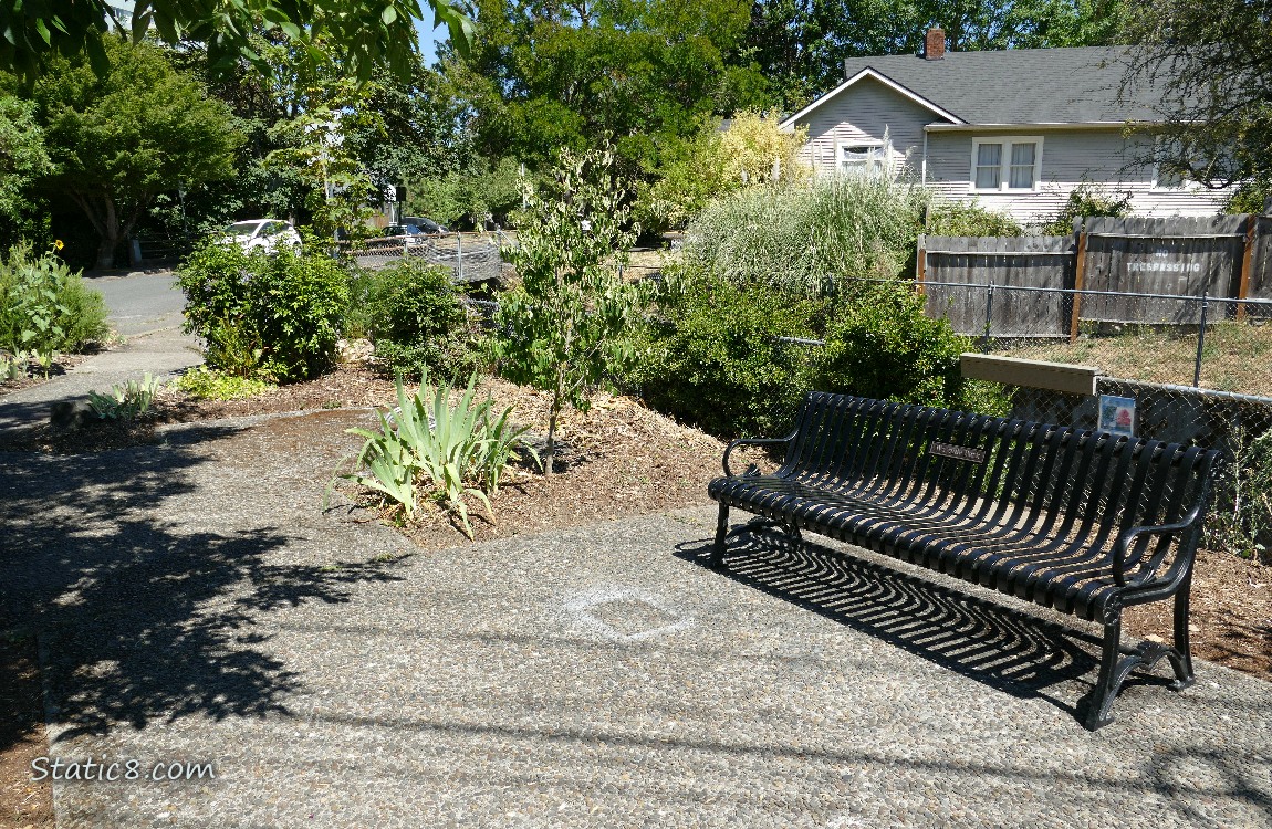 Bench in a small park