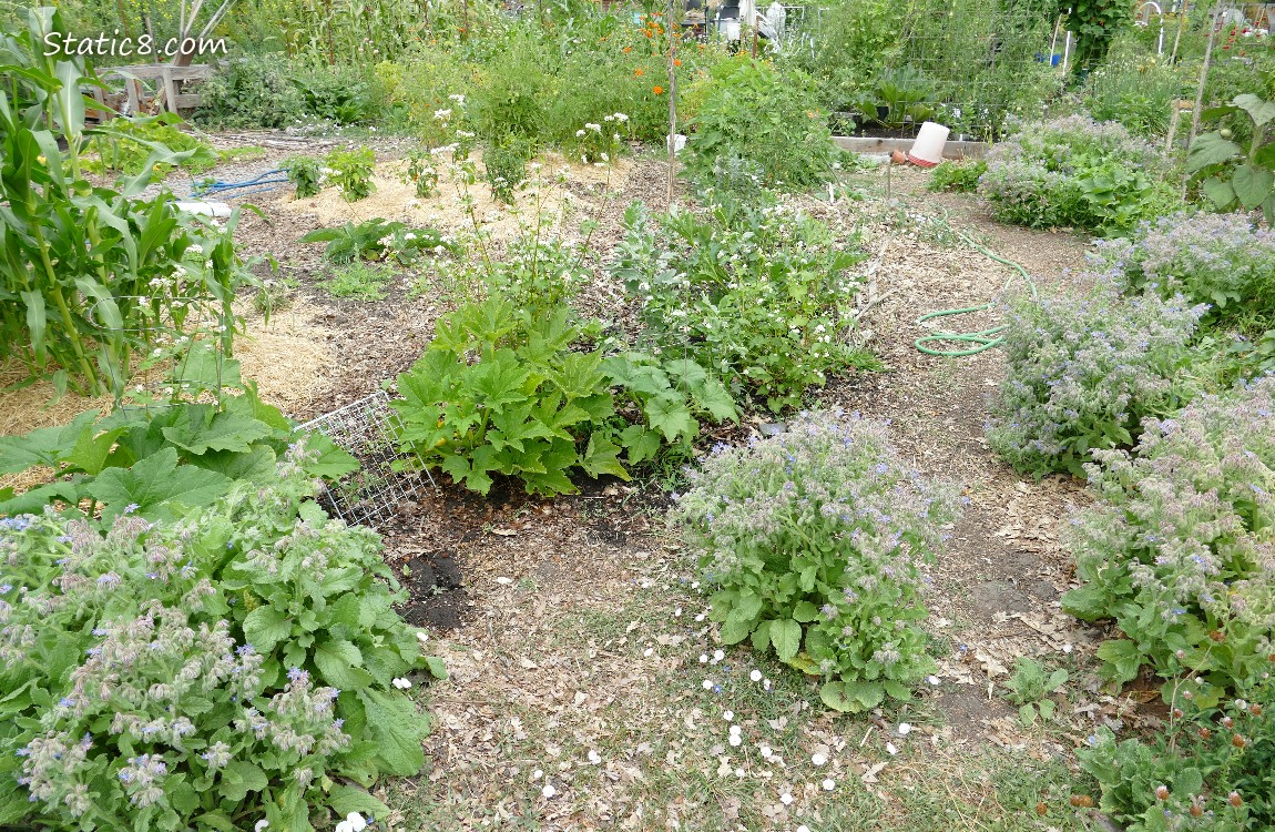 Garden plot