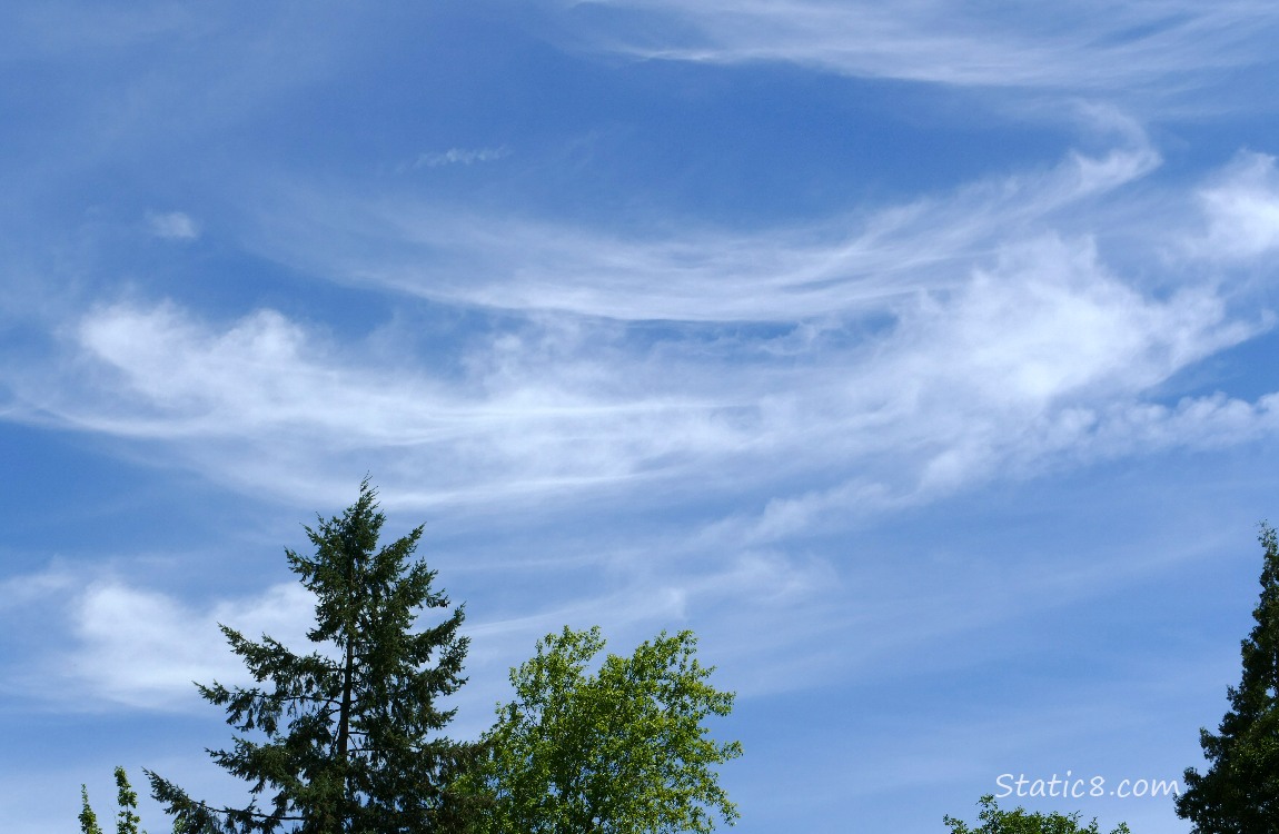 Cirrus clouds in a blue sky