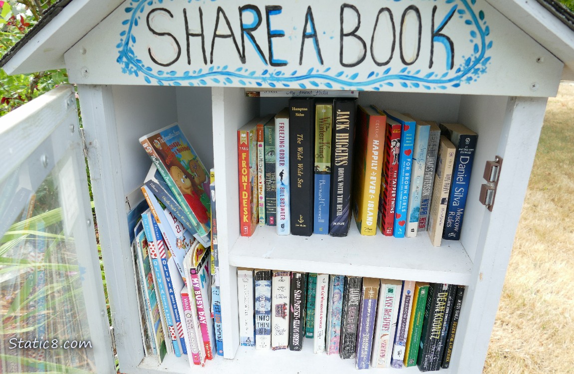 Little Free Library, full of books