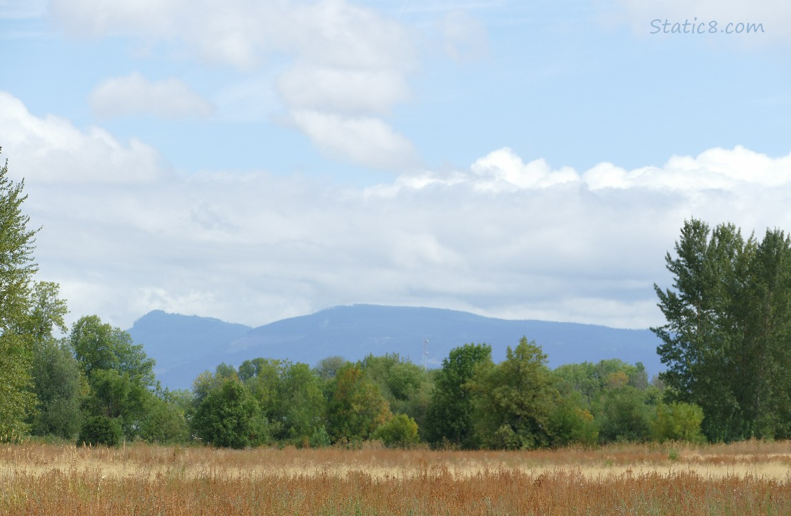 Hill in the distance