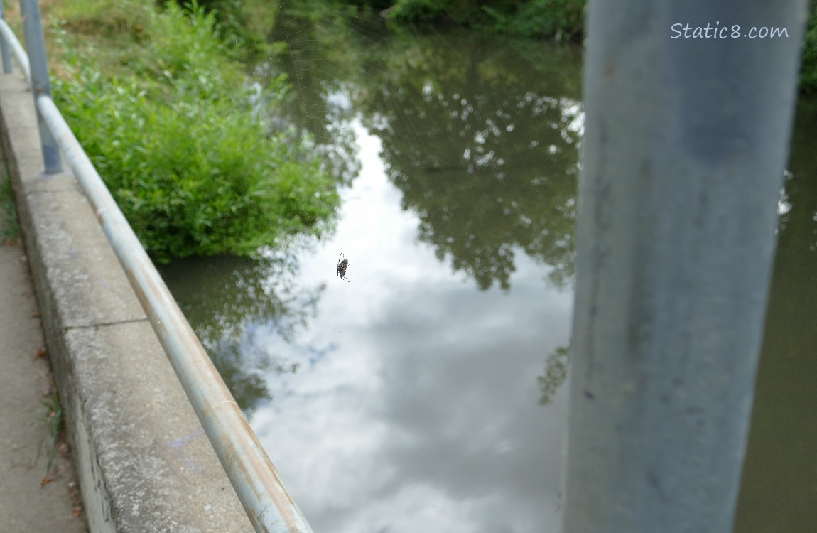 Looking past a railing at the water of the creek