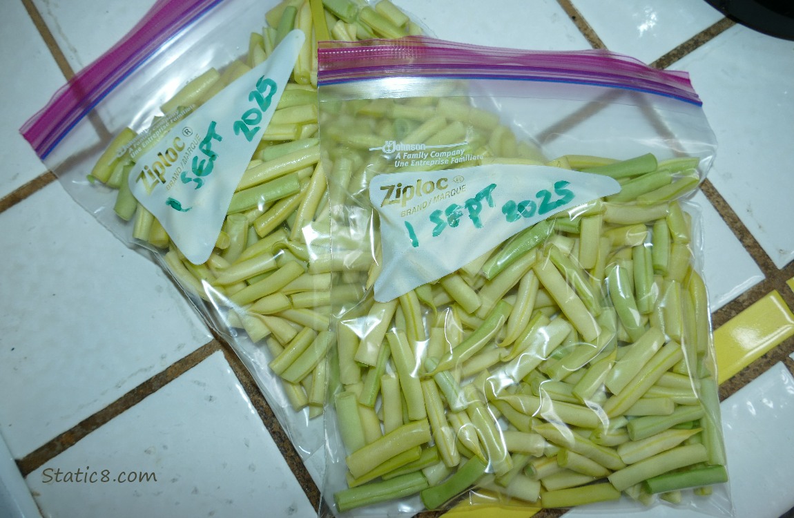 Two bags of cut wax beans laying on the counter