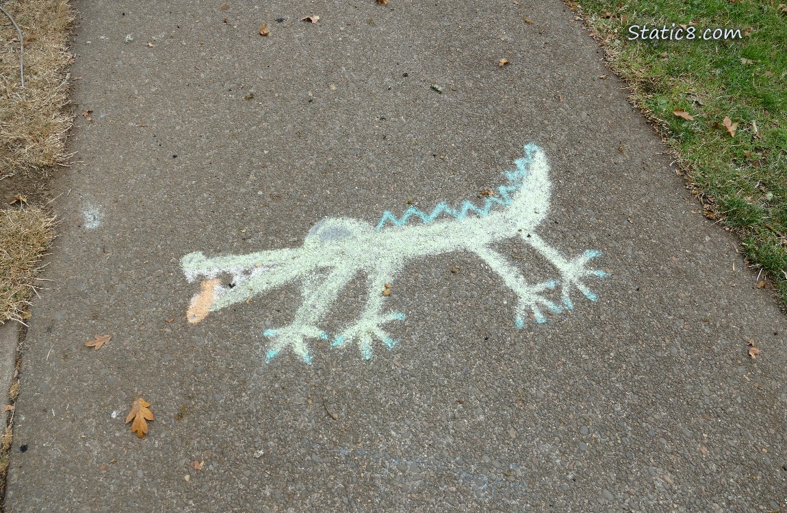 Chalk drawing of an alligator on the sidewalk