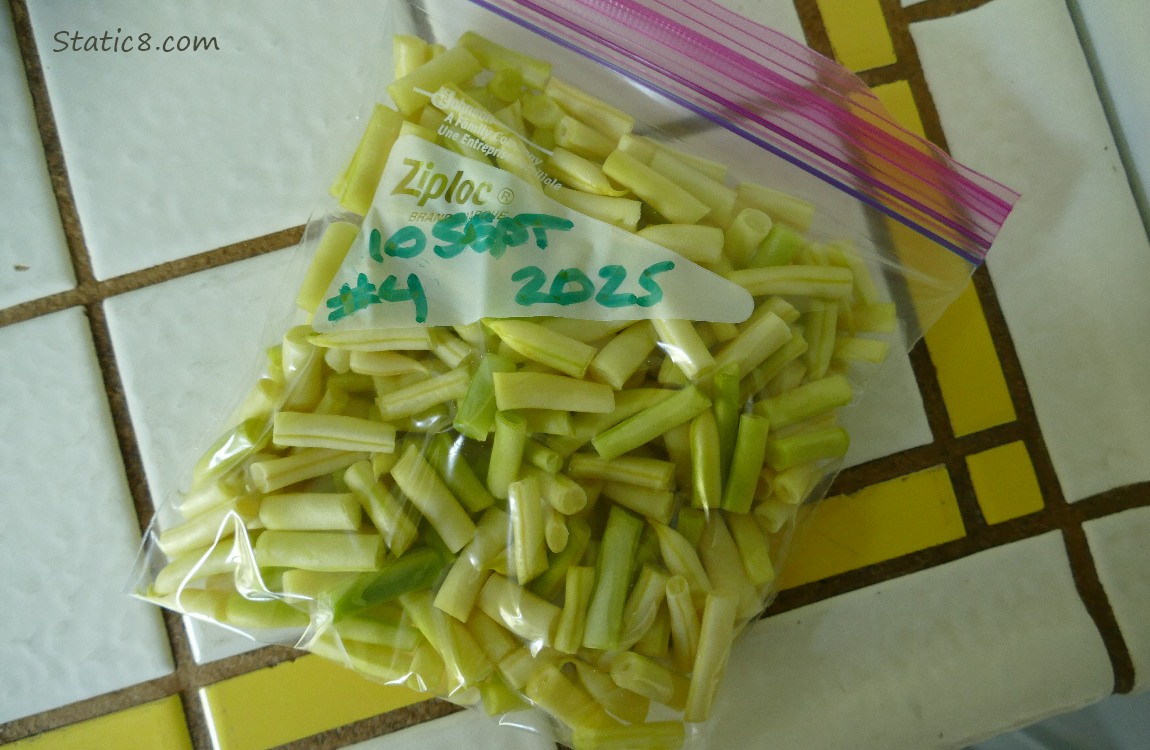 Ziplock bag filled with cut Wax Beans