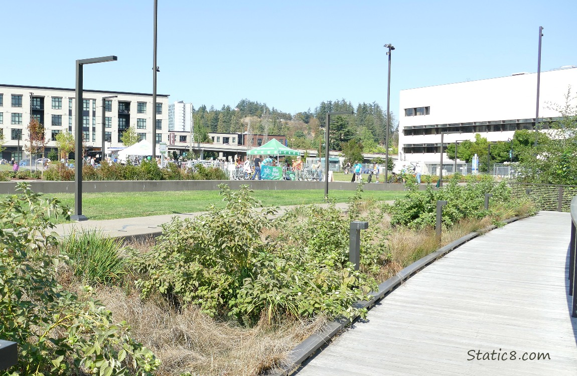 Park from the boardwalk