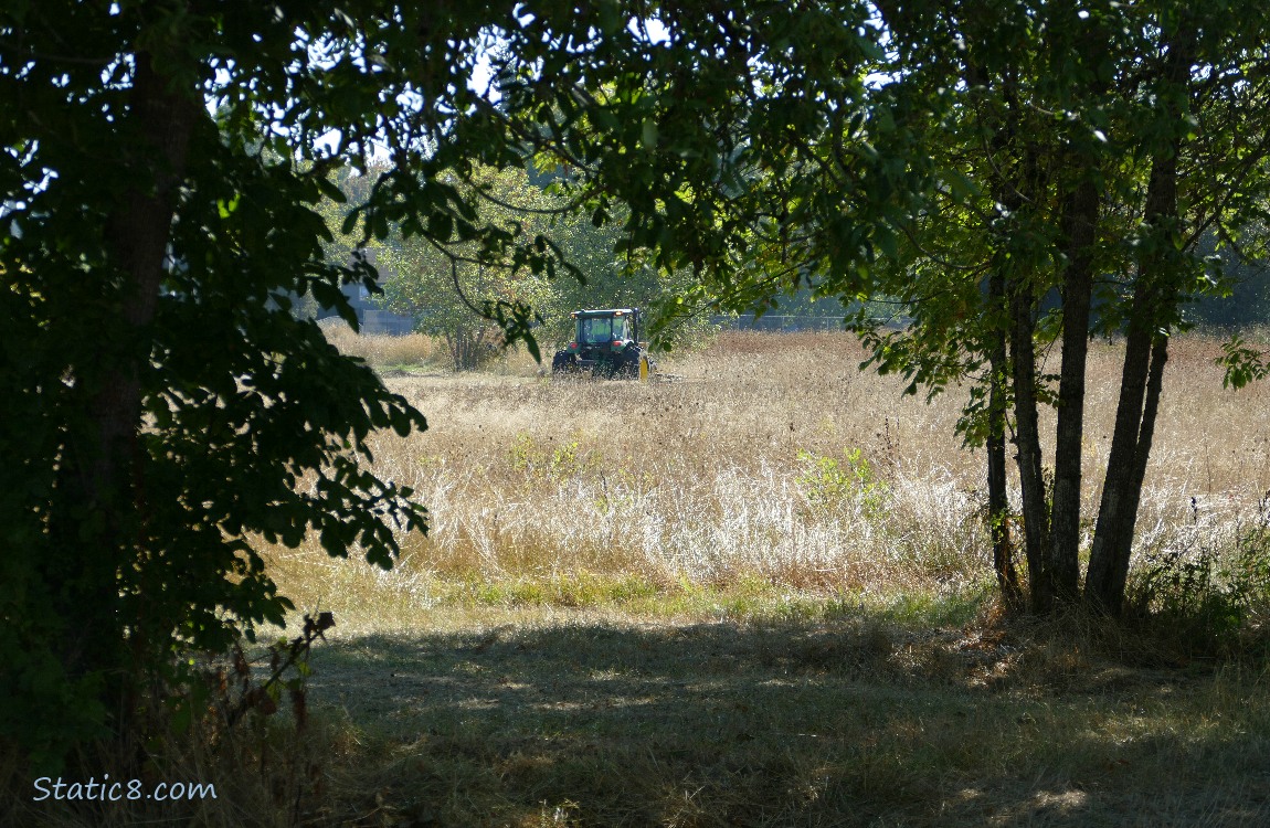 Tractor in the grass past the trees