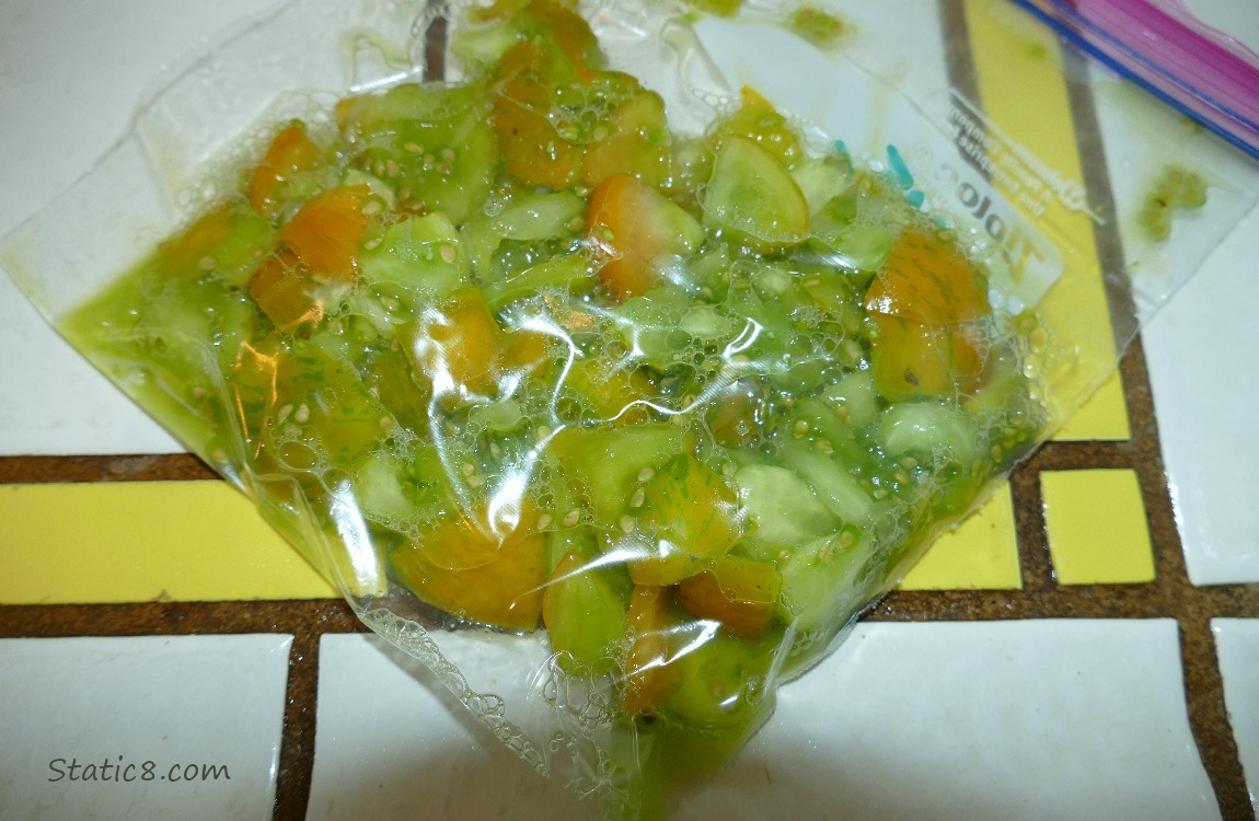 Chopped and bagged tomatoes, ready for the freezer