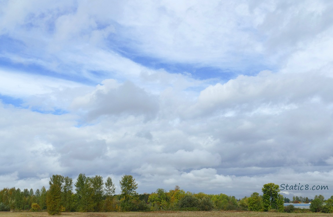 Clouds and sky over trees in the distance