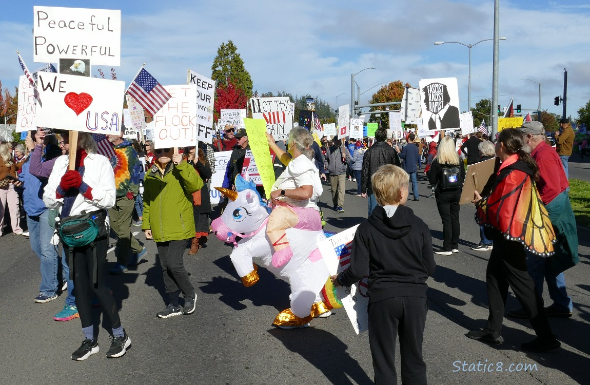 Protesters